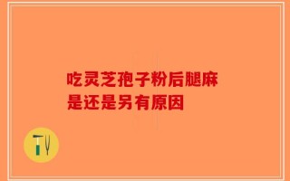 吃灵芝孢子粉后腿麻 是还是另有原因