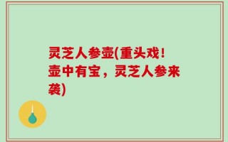 灵芝人参壶(重头戏！壶中有宝，灵芝人参来袭)