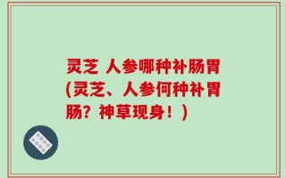 灵芝 人参哪种补肠胃(灵芝、人参何种补胃肠？神草现身！)