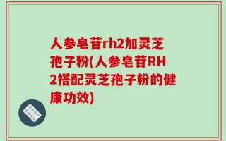 人参皂苷rh2加灵芝孢子粉(人参皂苷RH2搭配灵芝孢子粉的健康功效)