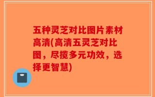 五种灵芝对比图片素材高清(高清五灵芝对比图，尽揽多元功效，选择更智慧)