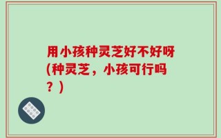 用小孩种灵芝好不好呀(种灵芝，小孩可行吗？)