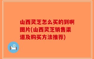 山西灵芝怎么买的到啊图片(山西灵芝销售渠道及购买方法推荐)