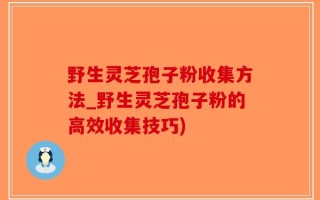 野生灵芝孢子粉收集方法_野生灵芝孢子粉的高效收集技巧)