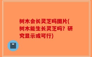 树木会长灵芝吗图片(树木能生长灵芝吗？研究显示或可行)
