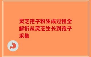 灵芝孢子粉生成过程全解析从灵芝生长到孢子采集