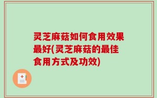 灵芝麻菇如何食用效果最好(灵芝麻菇的最佳食用方式及功效)