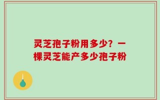 灵芝孢子粉用多少？一棵灵芝能产多少孢子粉
