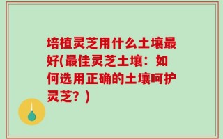 培植灵芝用什么土壤最好(最佳灵芝土壤：如何选用正确的土壤呵护灵芝？)