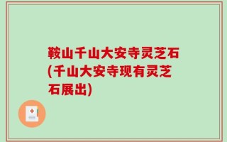 鞍山千山大安寺灵芝石(千山大安寺现有灵芝石展出)