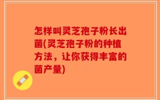怎样叫灵芝孢子粉长出菌(灵芝孢子粉的种植方法，让你获得丰富的菌产量)