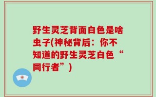 野生灵芝背面白色是啥虫子(神秘背后：你不知道的野生灵芝白色“同行者”)