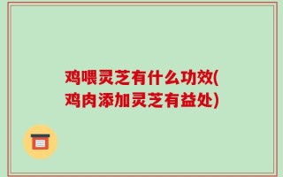 鸡喂灵芝有什么功效(鸡肉添加灵芝有益处)