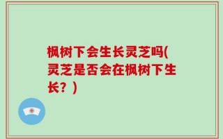 枫树下会生长灵芝吗(灵芝是否会在枫树下生长？)