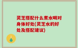 灵芝搭配什么煮水喝对身体好处(灵芝水的好处及搭配建议)