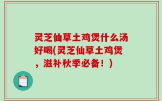 灵芝仙草土鸡煲什么汤好喝(灵芝仙草土鸡煲，滋补秋季必备！)