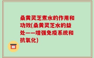 桑黄灵芝煮水的作用和功效(桑黄灵芝水的益处——增强免疫系统和抗氧化)