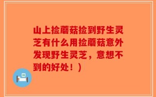 山上捡蘑菇捡到野生灵芝有什么用捡蘑菇意外发现野生灵芝，意想不到的好处！)