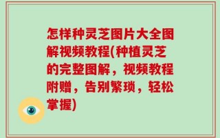 怎样种灵芝图片大全图解视频教程(种植灵芝的完整图解，视频教程附赠，告别繁琐，轻松掌握)