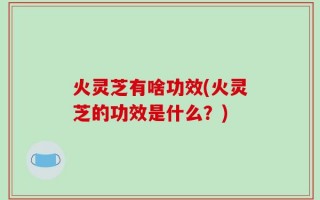 火灵芝有啥功效(火灵芝的功效是什么？)