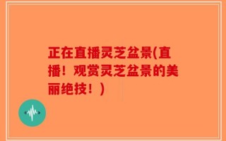 正在直播灵芝盆景(直播！观赏灵芝盆景的美丽绝技！)