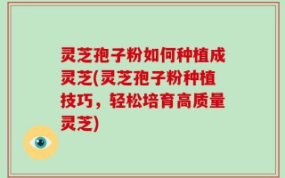 灵芝孢子粉如何种植成灵芝(灵芝孢子粉种植技巧，轻松培育高质量灵芝)