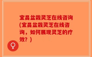 宜昌盆栽灵芝在线咨询(宜昌盆栽灵芝在线咨询，如何展现灵芝的疗效？)