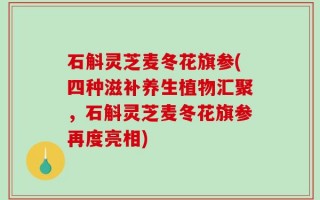 石斛灵芝麦冬花旗参(四种滋补养生植物汇聚，石斛灵芝麦冬花旗参再度亮相)