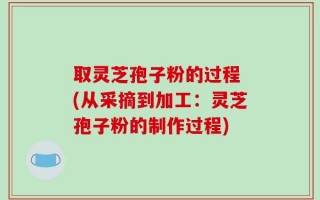 取灵芝孢子粉的过程 (从采摘到加工：灵芝孢子粉的制作过程)