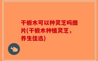 干椴木可以种灵芝吗图片(干椴木种植灵芝，养生佳选)