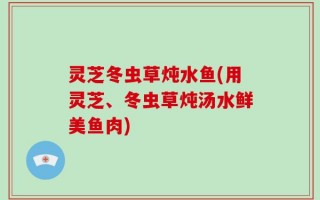 灵芝冬虫草炖水鱼(用灵芝、冬虫草炖汤水鲜美鱼肉)