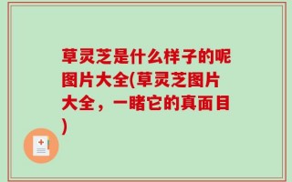 草灵芝是什么样子的呢图片大全(草灵芝图片大全，一睹它的真面目)