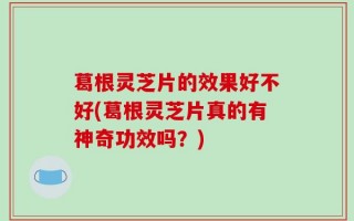 葛根灵芝片的效果好不好(葛根灵芝片真的有神奇功效吗？)