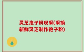 灵芝孢子粉现采(采摘新鲜灵芝制作孢子粉)