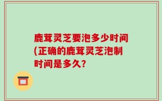 鹿茸灵芝要泡多少时间(正确的鹿茸灵芝泡制时间是多久？