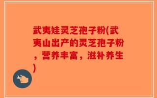 武夷娃灵芝孢子粉(武夷山出产的灵芝孢子粉，营养丰富，滋补养生)
