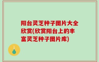 阳台灵芝种子图片大全欣赏(欣赏阳台上的丰富灵芝种子图片库)