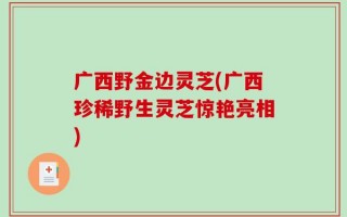 广西野金边灵芝(广西珍稀野生灵芝惊艳亮相)