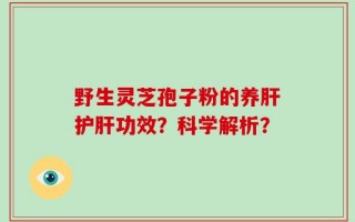 野生灵芝孢子粉的养肝护肝功效？科学解析？