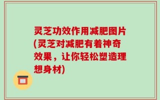 灵芝功效作用减肥图片(灵芝对减肥有着神奇效果，让你轻松塑造理想身材)