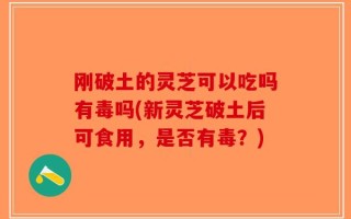 刚破土的灵芝可以吃吗有毒吗(新灵芝破土后可食用，是否有毒？)