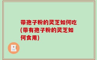 带孢子粉的灵芝如何吃(带有孢子粉的灵芝如何食用)