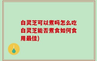 白灵芝可以煮吗怎么吃白灵芝能否煮食如何食用最佳)