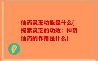 仙药灵芝功能是什么(探索灵芝的功效：神奇仙药的作用是什么)