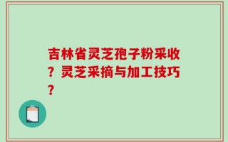 吉林省灵芝孢子粉采收？灵芝采摘与加工技巧？