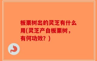 板栗树出的灵芝有什么用(灵芝产自板栗树，有何功效？)