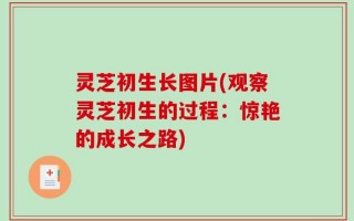 灵芝初生长图片(观察灵芝初生的过程：惊艳的成长之路)