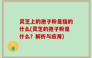 灵芝上的孢子粉是指的什么(灵芝的孢子粉是什么？解析与应用)