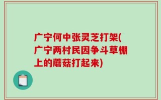 广宁何中张灵芝打架(广宁两村民因争斗草棚上的蘑菇打起来)