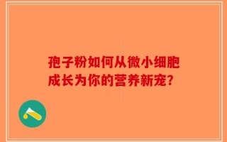 孢子粉如何从微小细胞成长为你的营养新宠？
